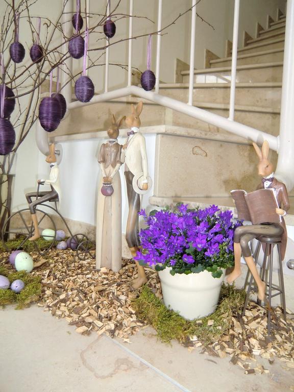 Pension Delia Will Heringsdorf  Esterno foto